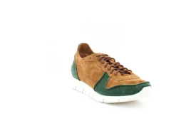 CARRERA B