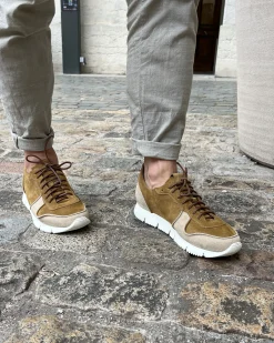 CARRERA B