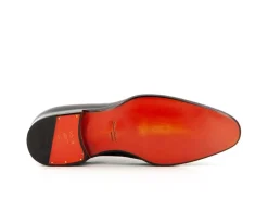 CARTER 16229 NGW