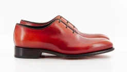 CARTER 16229 NGW
