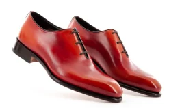 CARTER 16229 NGW