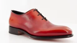 CARTER 16229 NGW