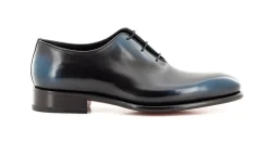 CARTER 16229 NGW