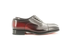 CARTER 12621 VSY
