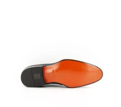 CARTER 17691 VVD