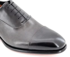 CARTER 12621 VVD
