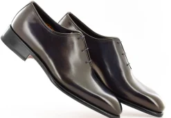 CARTER 16229 VVD