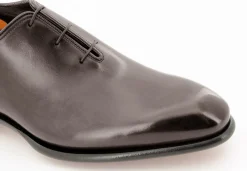 CARTER 16229 VVD
