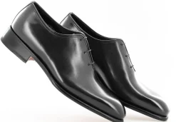 CARTER 16229 VVD