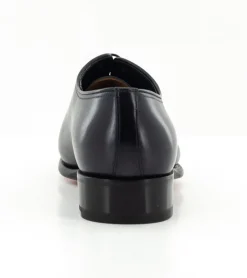 CARTER 16229 VVD