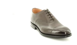 CONSUL CALF