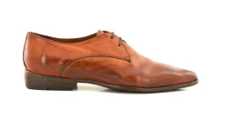 DERBY DL19A