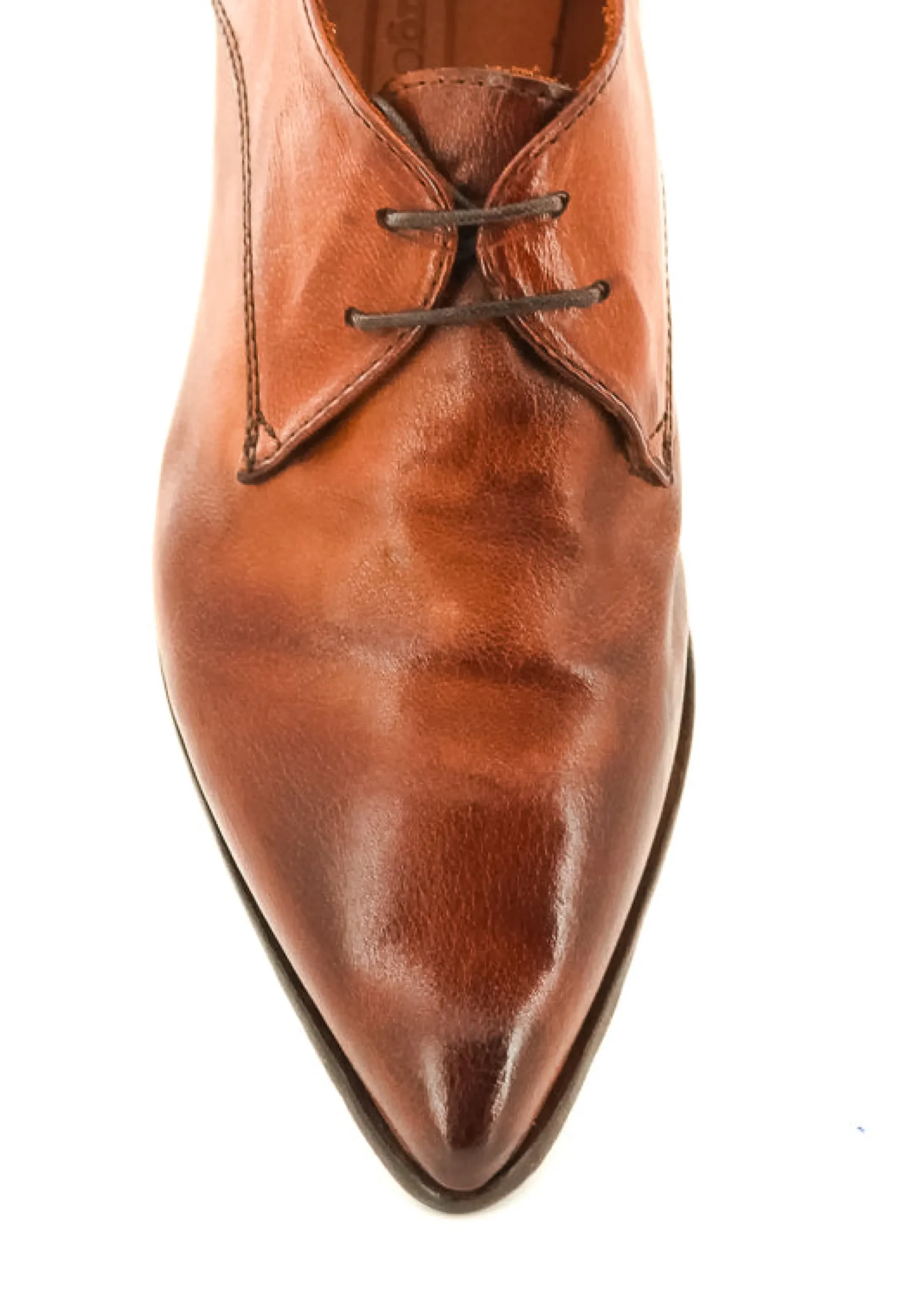 DERBY DL19A