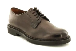 DERBY I810
