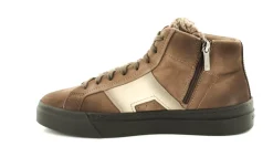 GLORIA 22131 PID