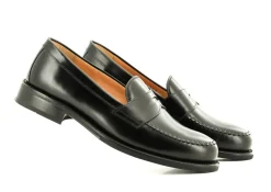 MOC 231D1