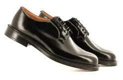 SHANNON POLISH