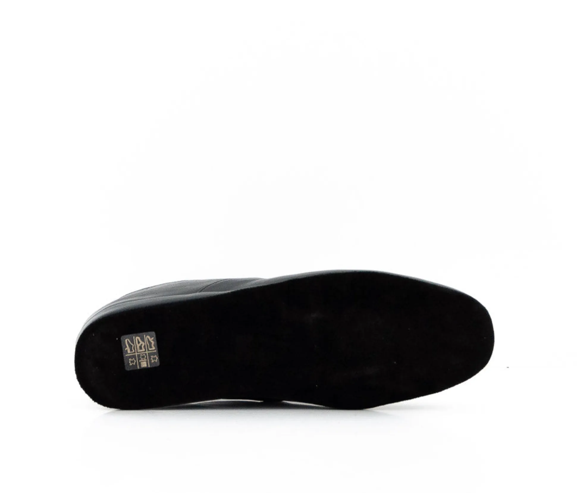 SLP 1237 CALF