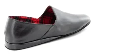 SLP 1237 CALF