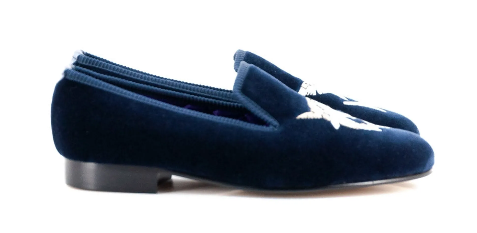 SLP SHARK